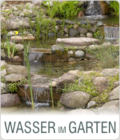 Wasser im Garten - Von Teich und Teichbau bis hin zu Schwimmteich, Bachläufen und Wasserspielen.